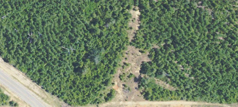 Vancleave, MS 39565