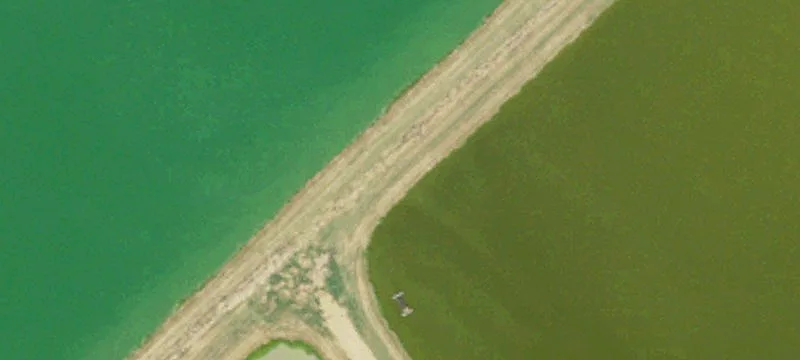 Isola, MS 38754