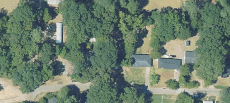 442 Frank Mingo St