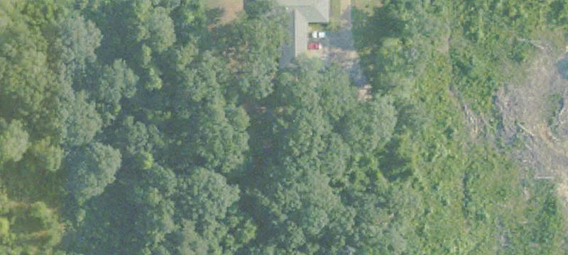 312 Ml Ave