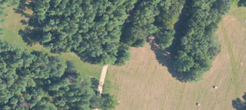 Carrollton, MS 38917
