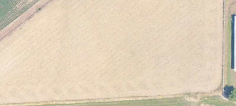 Grenada, MS 38901