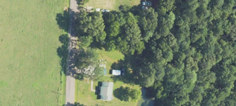 Forest, MS 39074