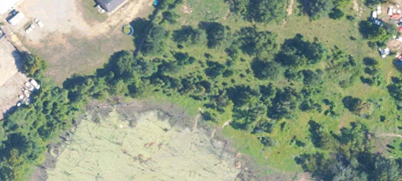 Grenada, MS 38901