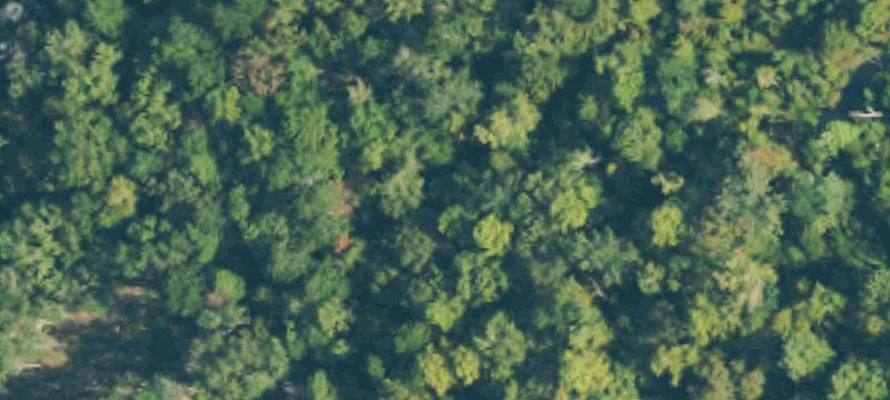Silver Creek, MS 39663