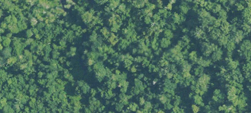 Sumrall, MS 39482