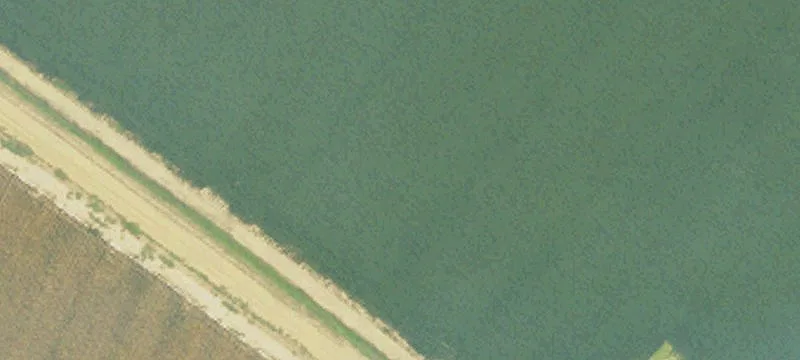 Isola, MS 38754