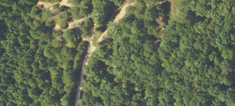 Henderson Rd