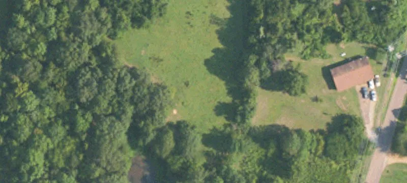 Houston, MS 38851