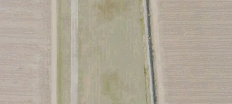 Sunflower Rd