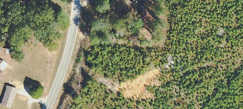 12330 John Rankin Hwy