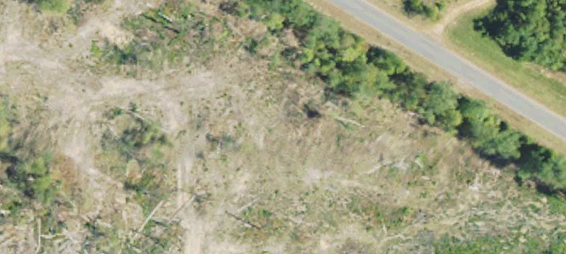 Red Lick Rd, MS