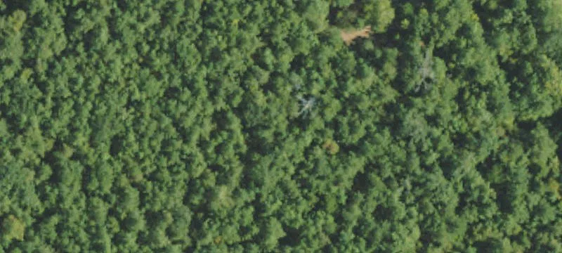 Monticello, MS 39654