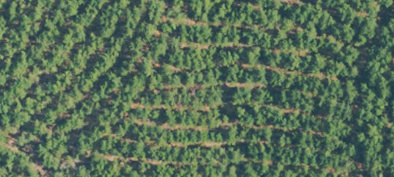 Sandy Hook, MS 39478