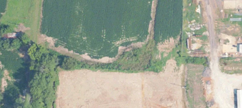 Houston, MS 38851