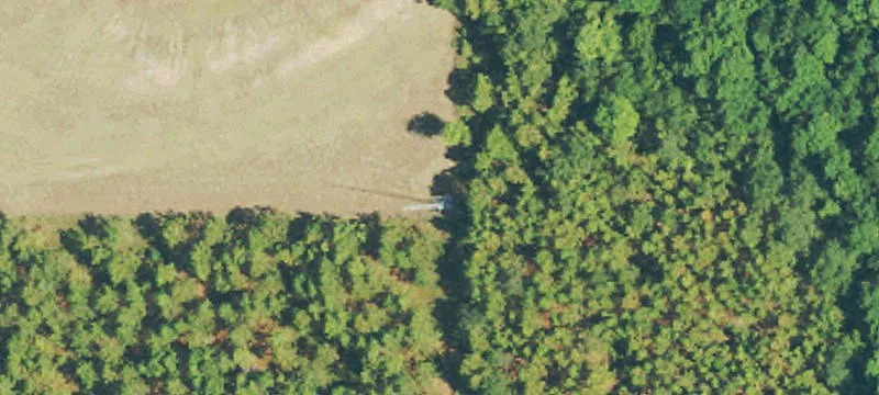377 Luther Lee Rd