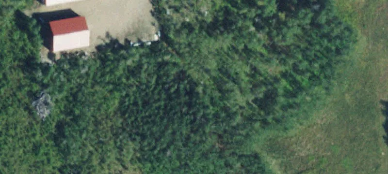 Babb, MT 59411