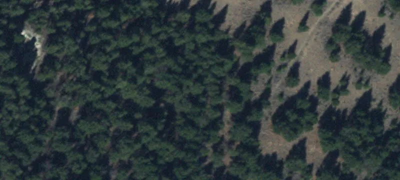 Dillon, MT 59725