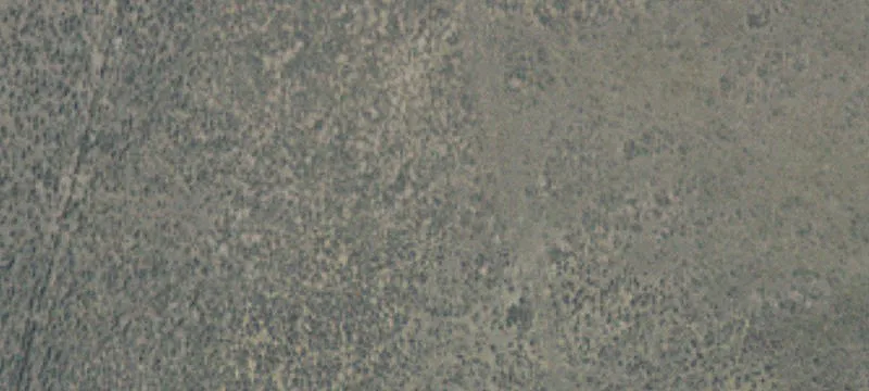 29000 Muddy Crk Rd