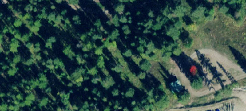 6010 Us Hwy 93rd S