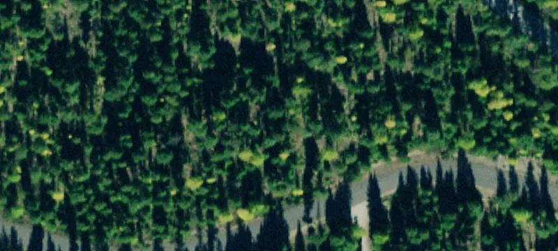939 Bitterroot Rd