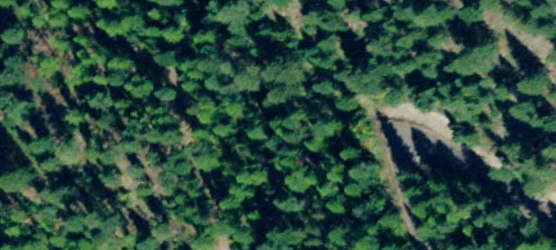 473 Antler Ridge Rd