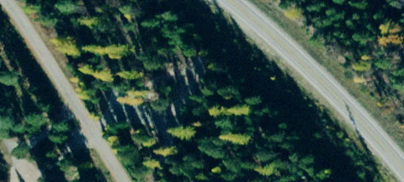12345 Paradise Loop