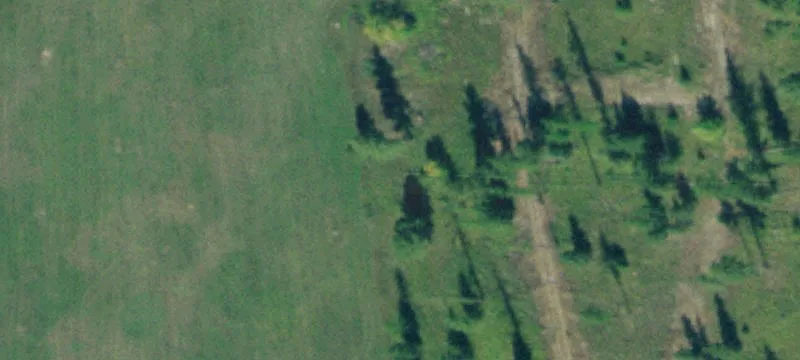 1770 Mt Hwy 206