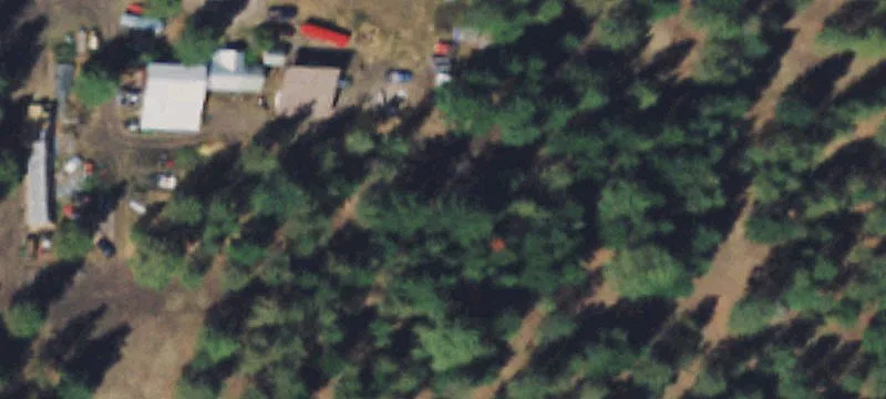 24905 Gray Wolf Rd