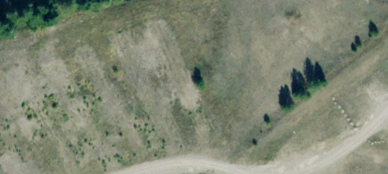 Columbia Falls, MT 59912