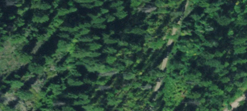 Essex, MT 59916