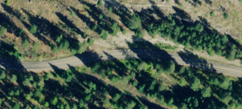 1400 Blacktail Rd