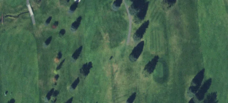 Bozeman, MT 59715