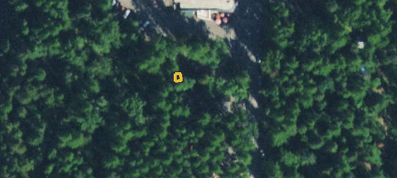 198 Apgar Loop Dr