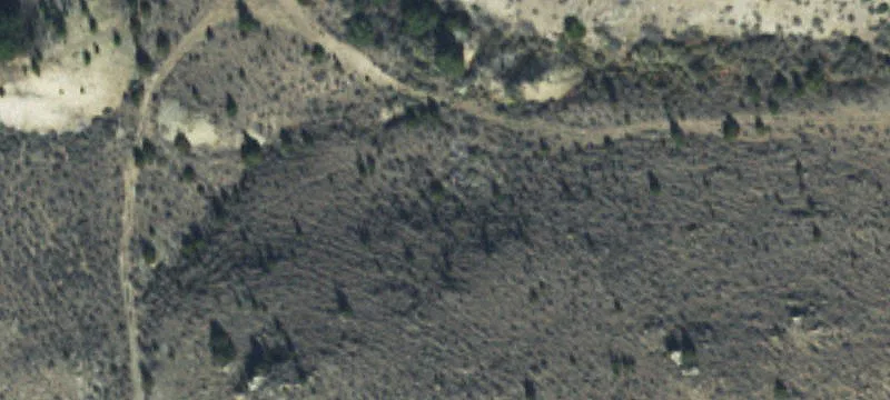 Silver Star, MT 59751