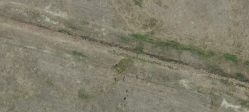 Opheim, MT 59250