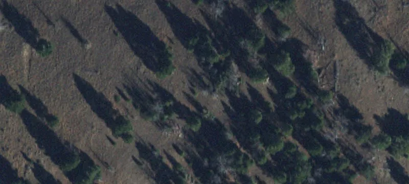 Sheridan, MT 59749