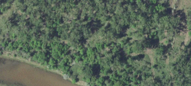 Wolf Point, MT 59201