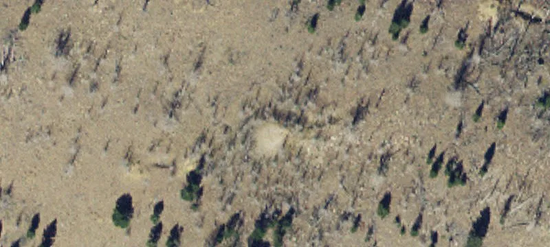 Pony, MT 59747