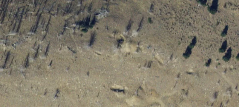Pony, MT 59747