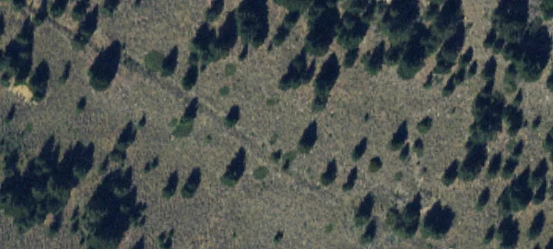 Pony, MT 59747