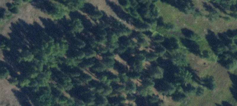 2610 Us Hwy 93rd N