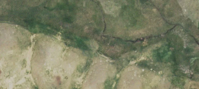 Coffee Creek, MT 59424