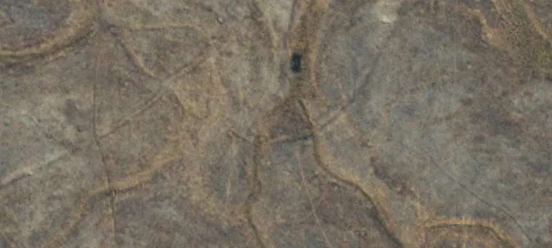 Wisdom, MT 59761
