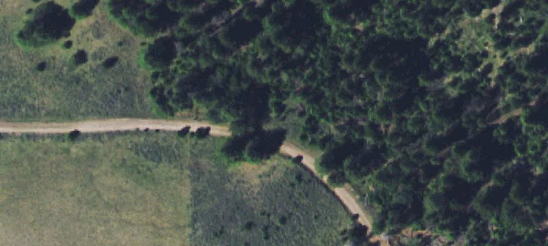 Lincoln, MT 59639