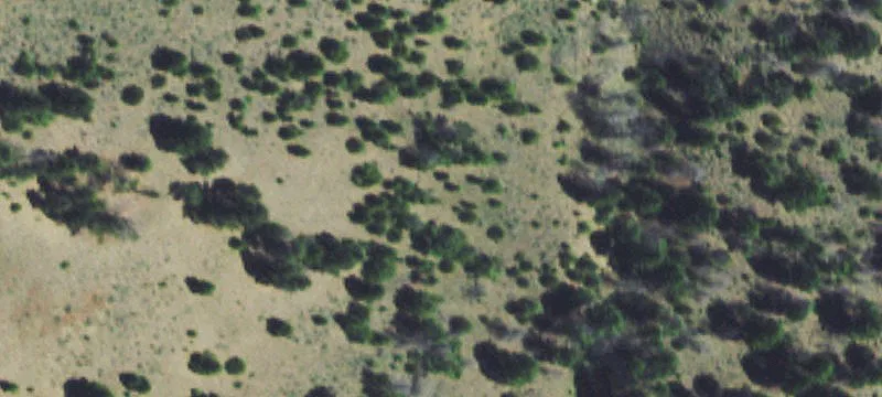 Basin, MT 59631