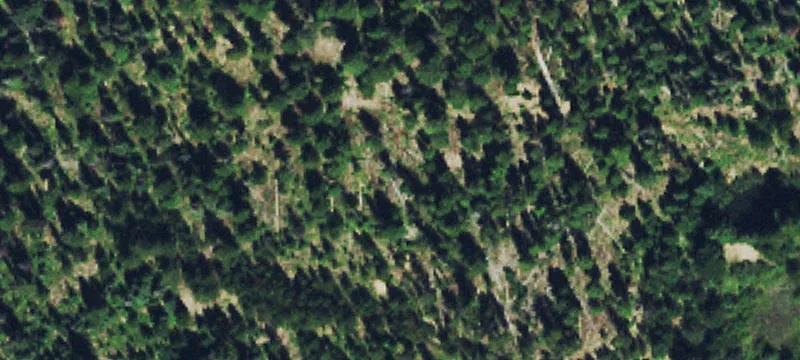 Drummond, MT 59832