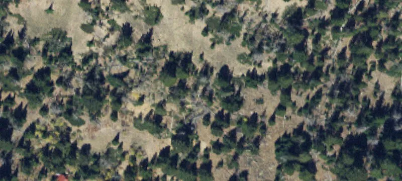 Pony, MT 59747