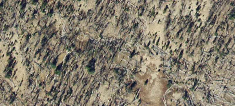 Pony, MT 59747