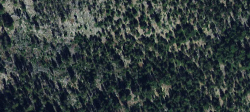 Nye, MT 59061